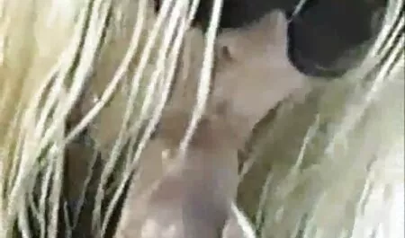 Incredibile babe squirting davanti alla telecamera dal film porno in streaming gratis vivo